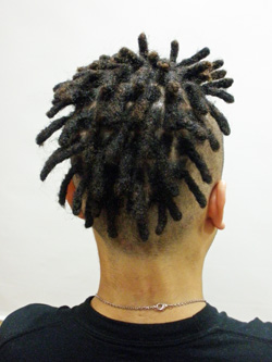 アフロドレッド 40