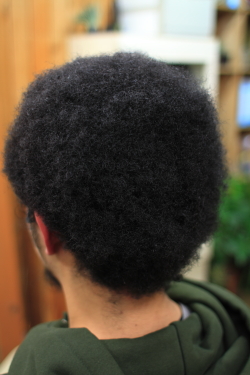 アフロドレッド 67