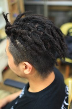 アフロドレッド 81