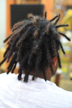 アフロドレッド 85