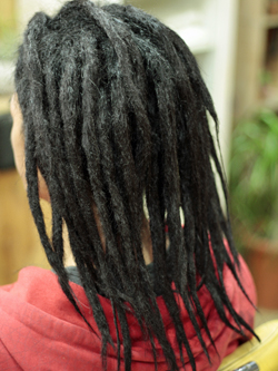 エクステ ソフトドレッド 119