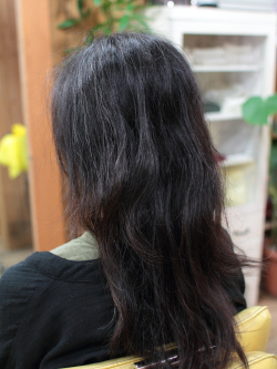 エクステ ソフトドレッド 160