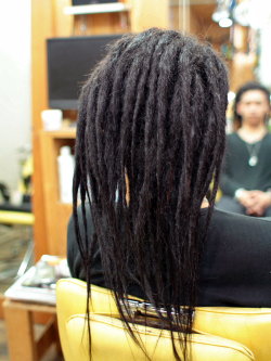 エクステ ソフトドレッド 172