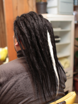 エクステ ソフトドレッド 176