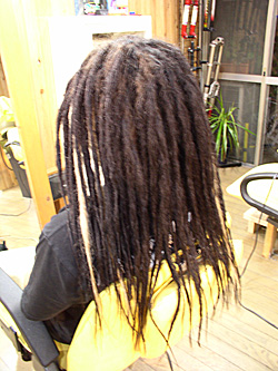 エクステ ソフトドレッド 20