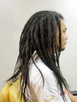 エクステ ソフトドレッド 33