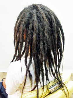 エクステ ソフトドレッド 34