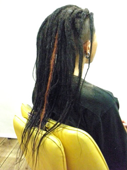 エクステ ソフトドレッド 44