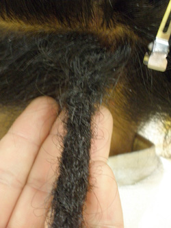 エクステ ソフトドレッド 67