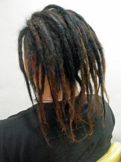 ソフトドレッド 101