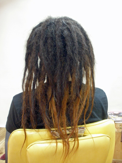 ソフトドレッド 103