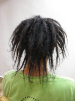 ソフトドレッド 113