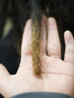 ソフトドレッド 137