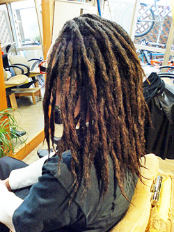 ソフトドレッド 14