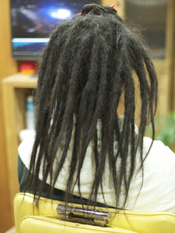 ソフトドレッド 155