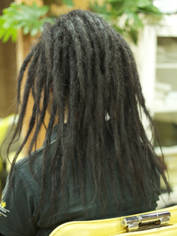 ソフトドレッド 156