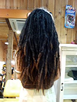 ソフトドレッド 16