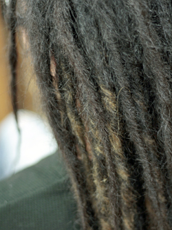 ソフトドレッド 177