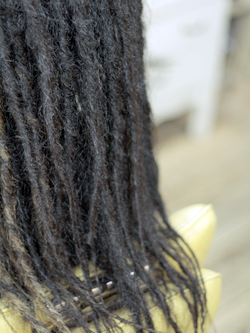 ソフトドレッド 178