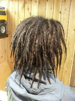 ソフトドレッド 18