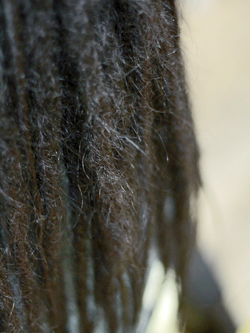 ソフトドレッド 186