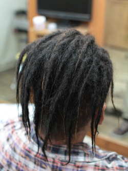 ソフトドレッド 199