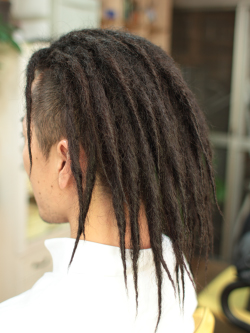 ソフトドレッド 201