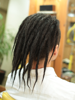 ソフトドレッド 202