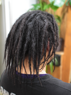 ソフトドレッド 208