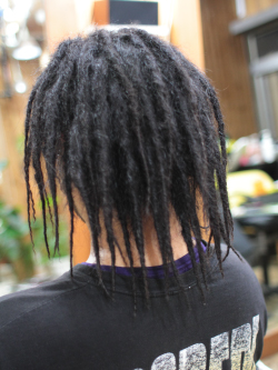 ソフトドレッド 209