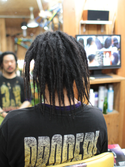 ソフトドレッド 211