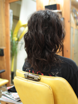 ソフトドレッド 217