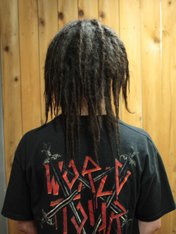 ソフトドレッド 221