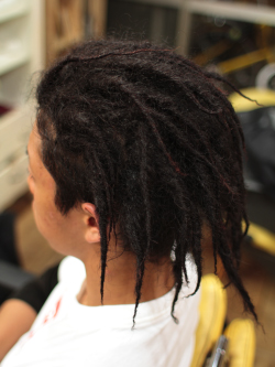 ソフトドレッド 222