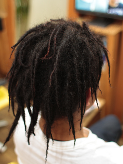 ソフトドレッド 224