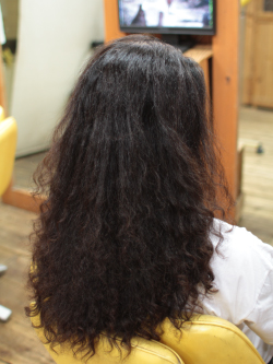 ソフトドレッド 225