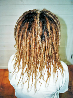 ソフトドレッド 23