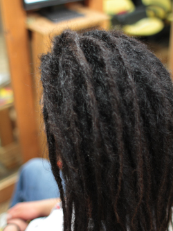 ソフトドレッド 230