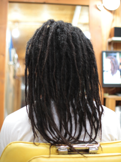 ソフトドレッド 231