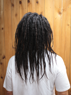 ソフトドレッド 233