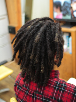 ソフトドレッド 239