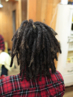 ソフトドレッド 241