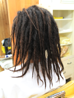 ソフトドレッド 242