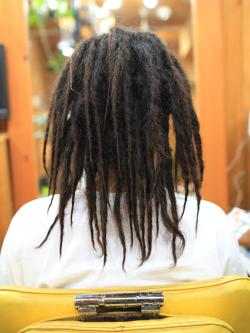 ソフトドレッド 244