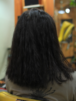 ソフトドレッド 249