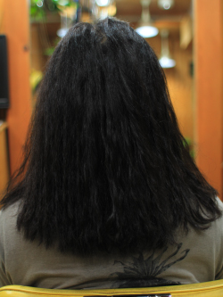 ソフトドレッド 250