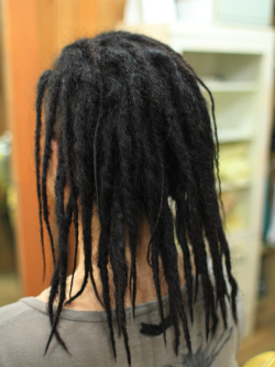 ソフトドレッド 251