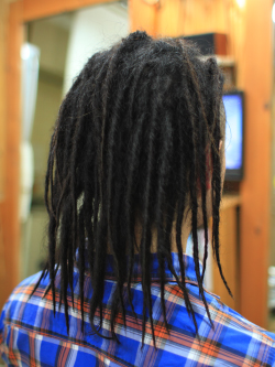 ソフトドレッド 255