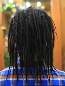 ソフトドレッド 256