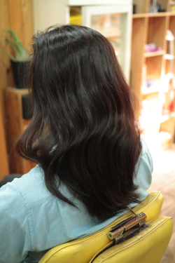 ソフトドレッド 259